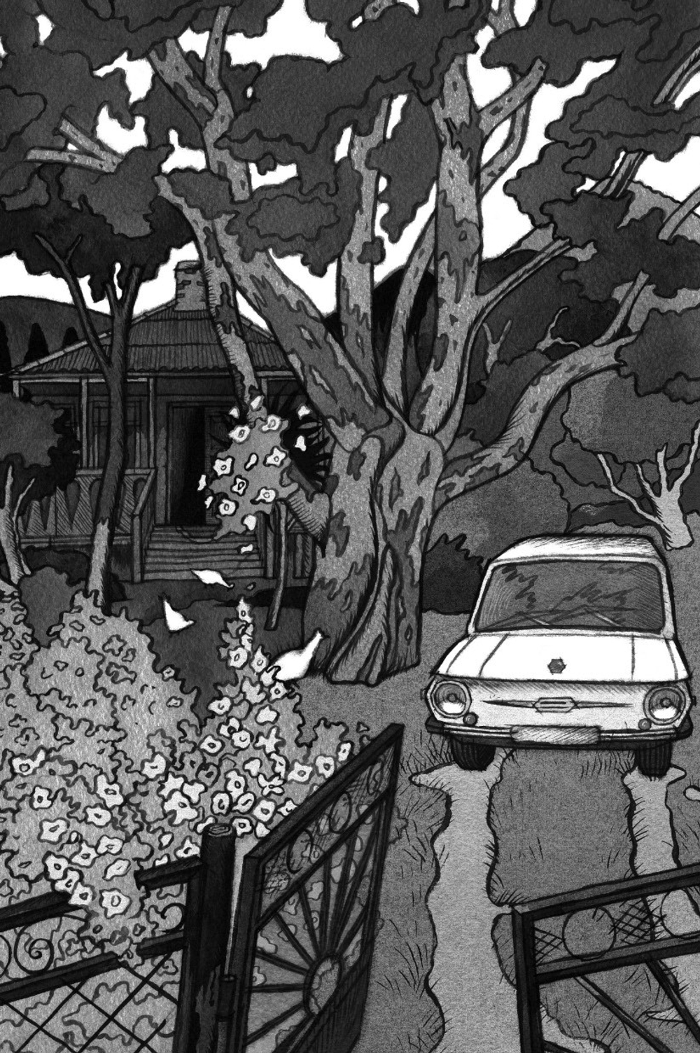 Брат мой Бзоу (с автографом)