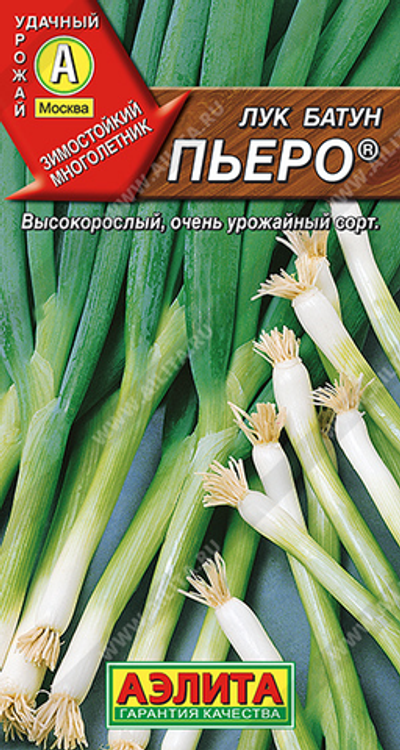 Лук батун Пьеро ®,       1 г