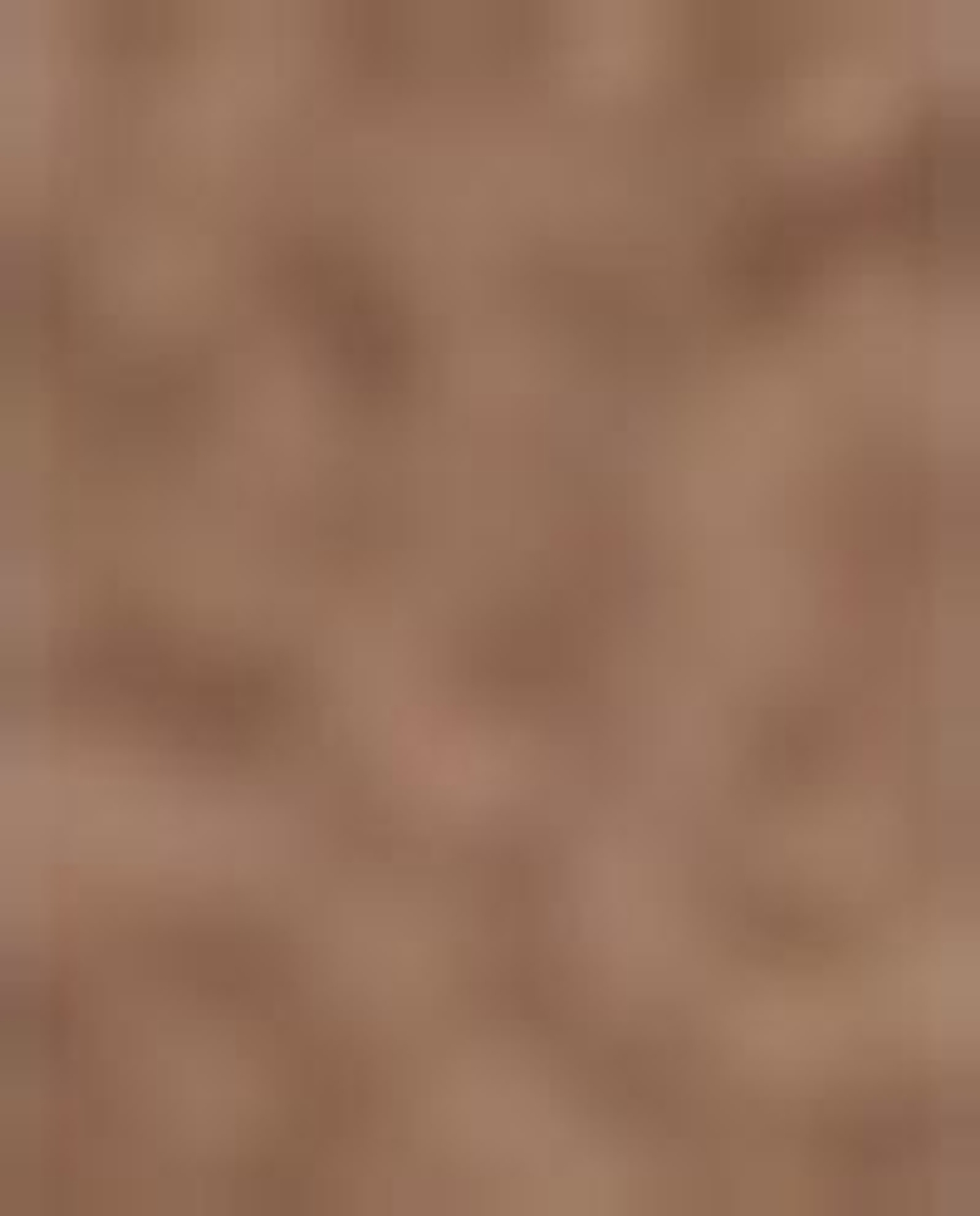 Zara Home Аромадиффузор Tiramisu Euphoria 190 мл, тростниковые палочки микадо, аромат сладкий гурманский, Золотой