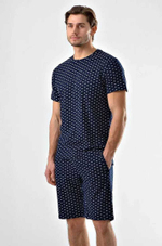 Пижама мужская шорты+футболка 88179