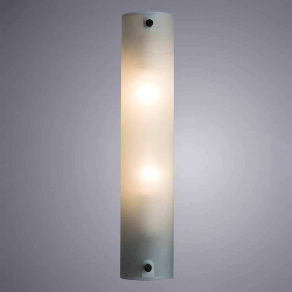 Подсветка для картин и зеркал Arte Lamp A4101AP-2WH