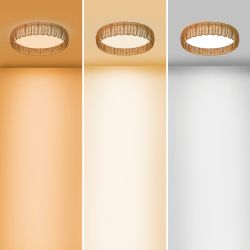 8195 Потолочный светильник KILIMANJARO