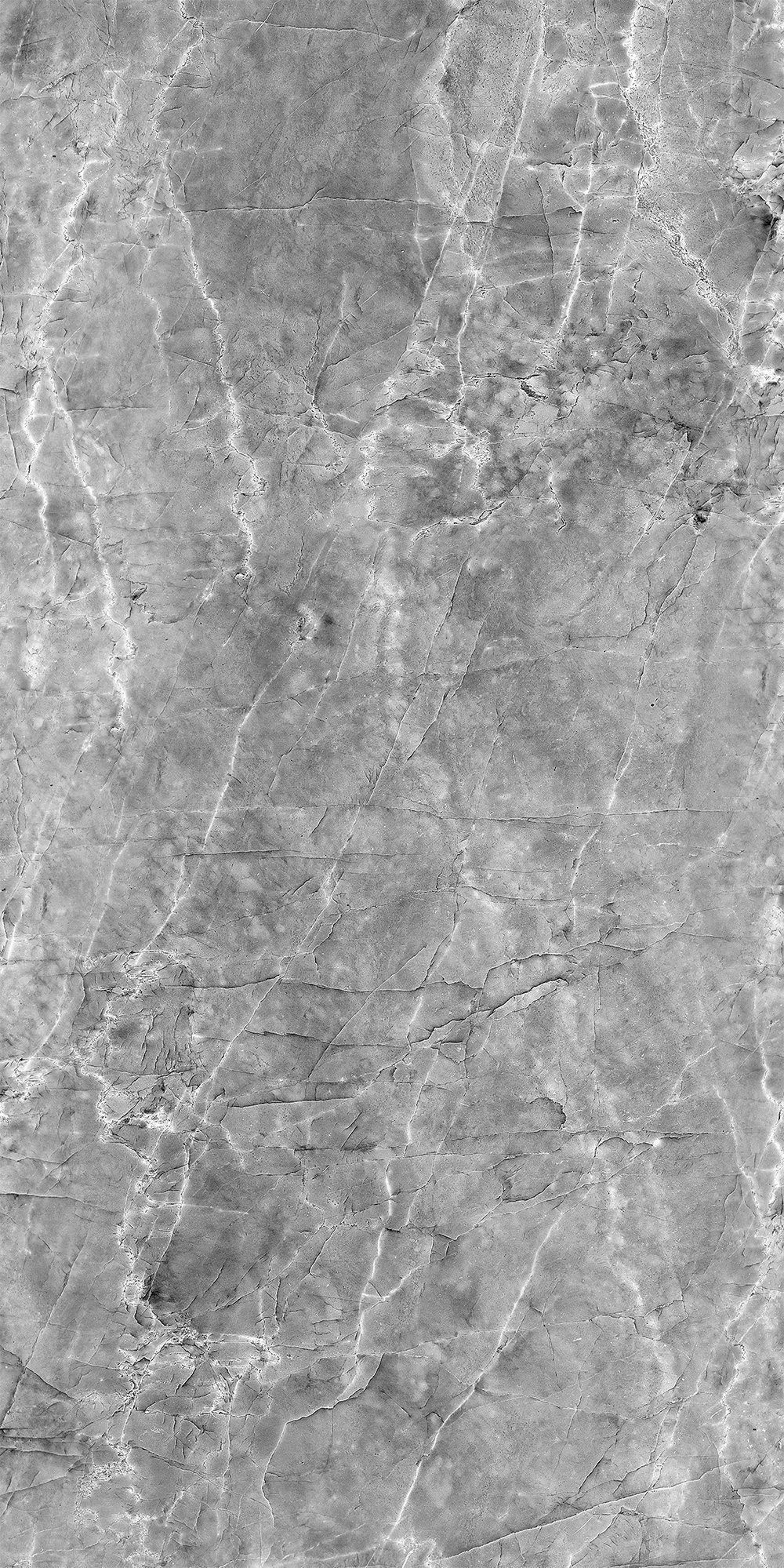 Шерл Сильвер