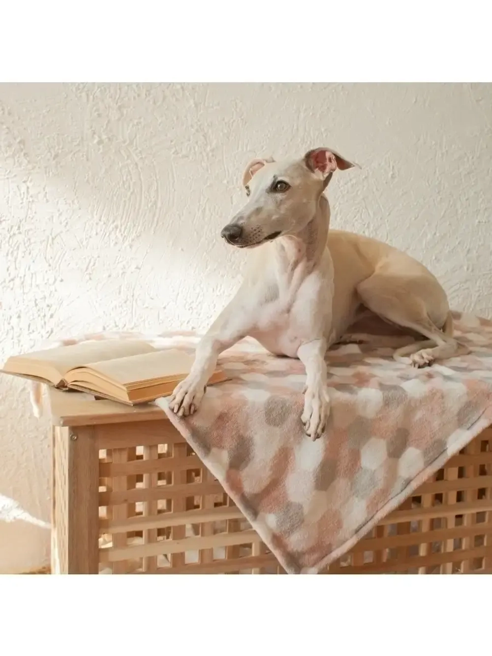 Плед для животных