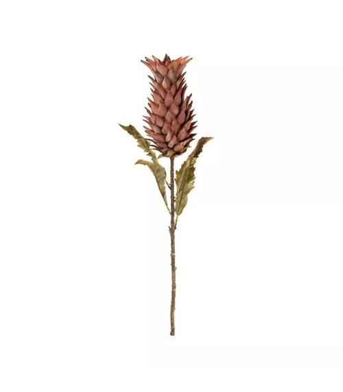 Бромелия терракотовая 83см