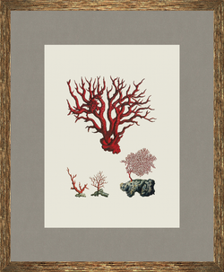 Картина 327 (X)