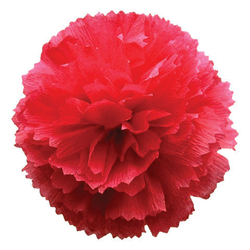 Бумага крепированная флористическая 50*250 см красная ОСТРОВ СОКРОВИЩ 110 г/м2 (129148)