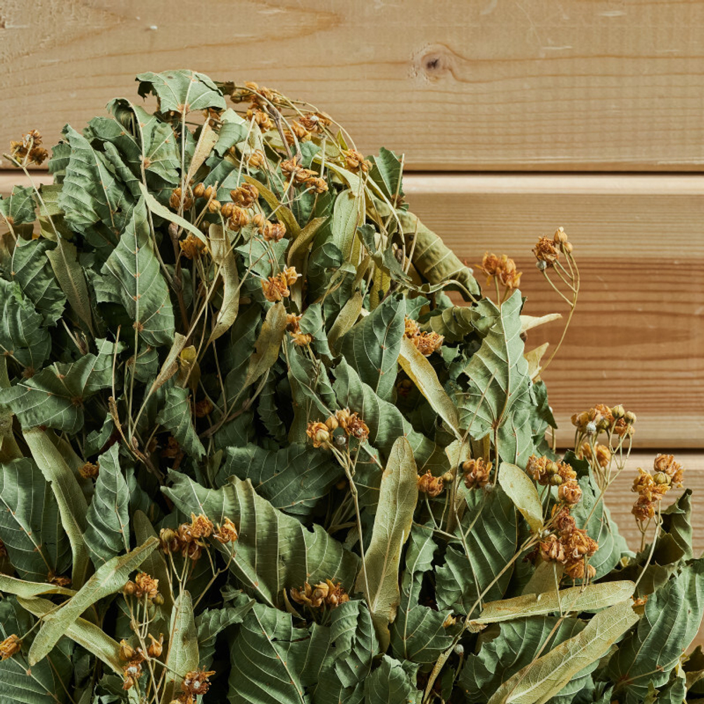 Веник липовый _Отборный__4.jpg