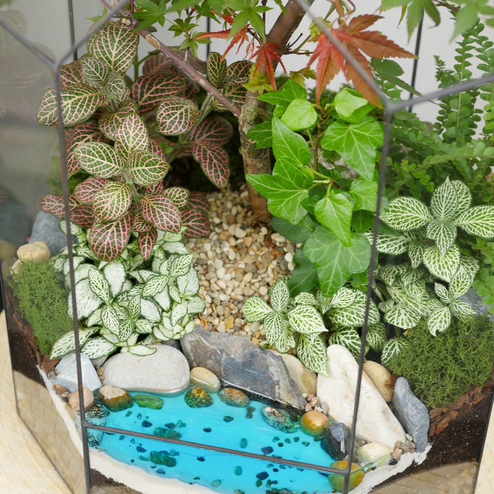 Готовый флорариум бонсай Клён Бонсариум XL с озером