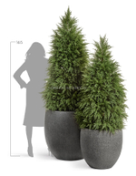 Кашпо TREEZ Effectory - Stone - Большой округлый конус - Тёмно-серый камень