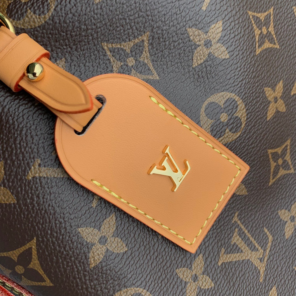 Louis Vuitton CarryAll MM