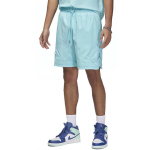 Шорты Jordan Essentials Logo, FN0769-489