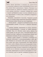 Письмо и пуля
