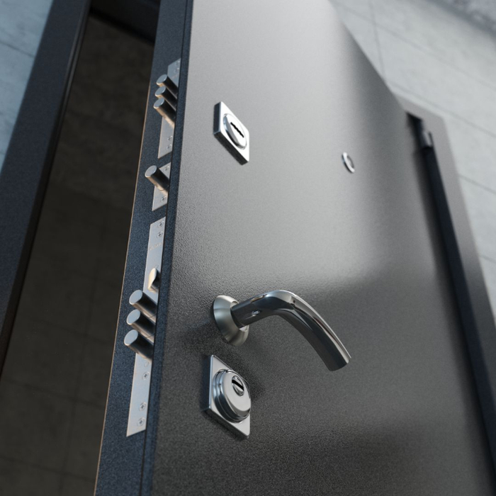 Входная дверь XL