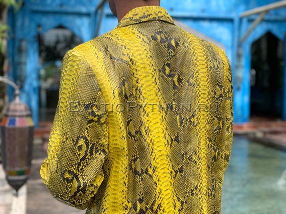 Пиджак из кожи питона JT-82