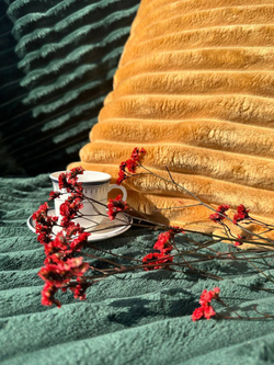 Велюр Therapy (Терапия) 007