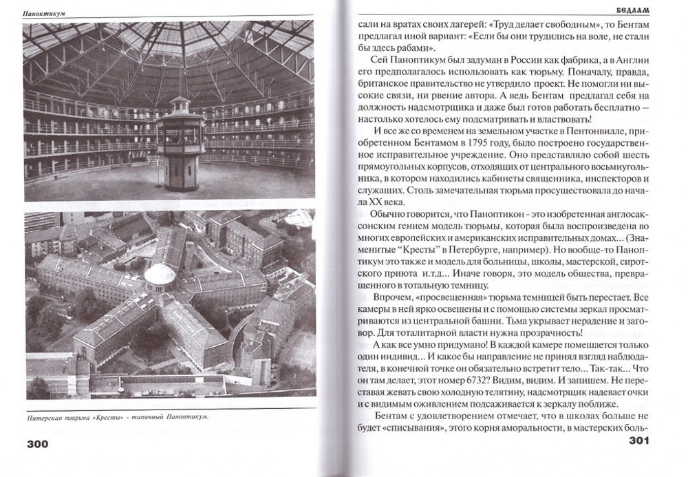 Бедлам. (Корабль дураков или ковчег спасения?). Юрий Воробьевский