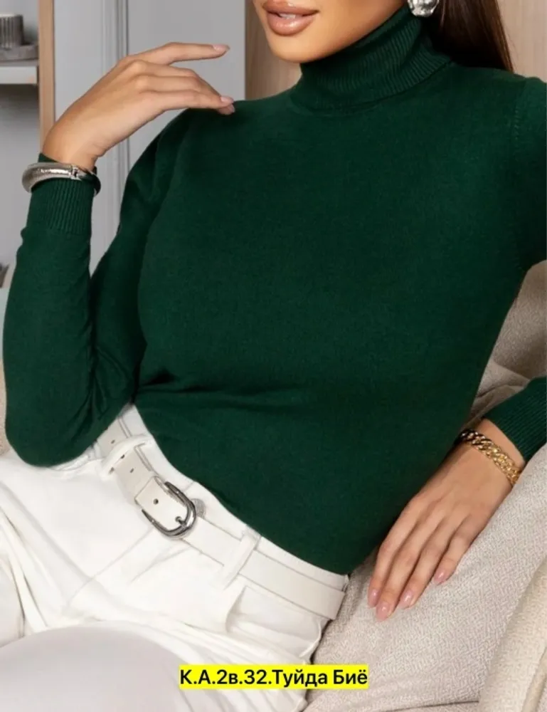 Водолазка 2571595 Fabrika