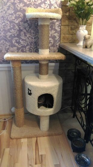 Дом для котят Д-2