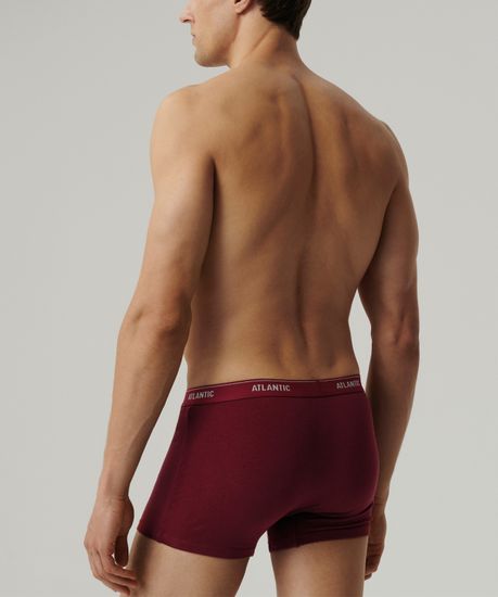 Трусы мужские боксеры (2шт), Atlantic 2RMH-011, хлопок, графитовый + каберне