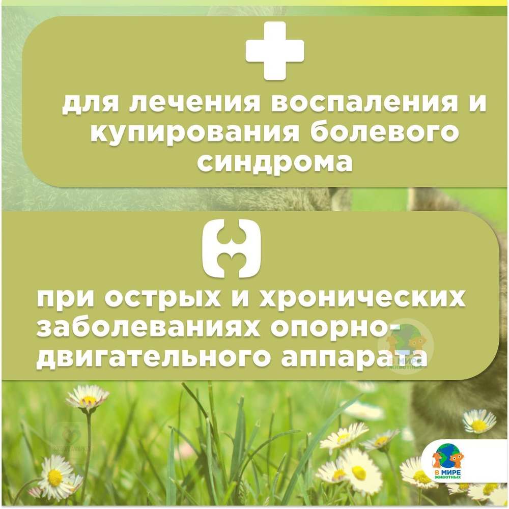Мелоксидил Сева (Ceva) для кошек и котов суспензия для орального применения, 0.5 мг/мл, фл. 5 мл. Мелоксикам.
