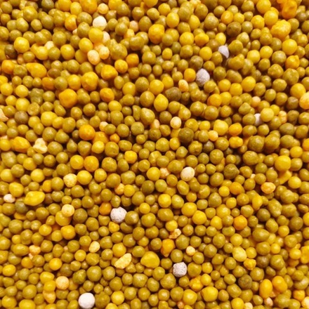 Osmocote PRO 3-4 мес. (17-11-10+2MgO+TE)