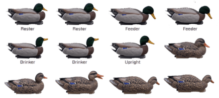 Кряква "FA LIVE MALLARD FLOATERS EVA FLOCKED HEADS" FA 12 шт.