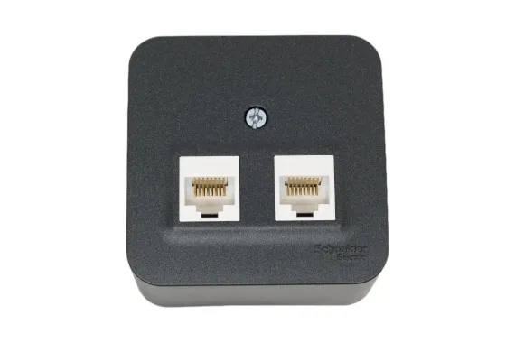 Розетка RJ45 Systeme Electric BLANCA двойная накладная антрацит 30896
