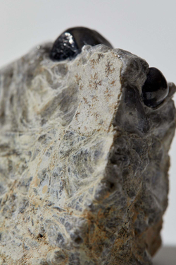 Обсидиан «Слёзы Апачей» кристалл на породе L