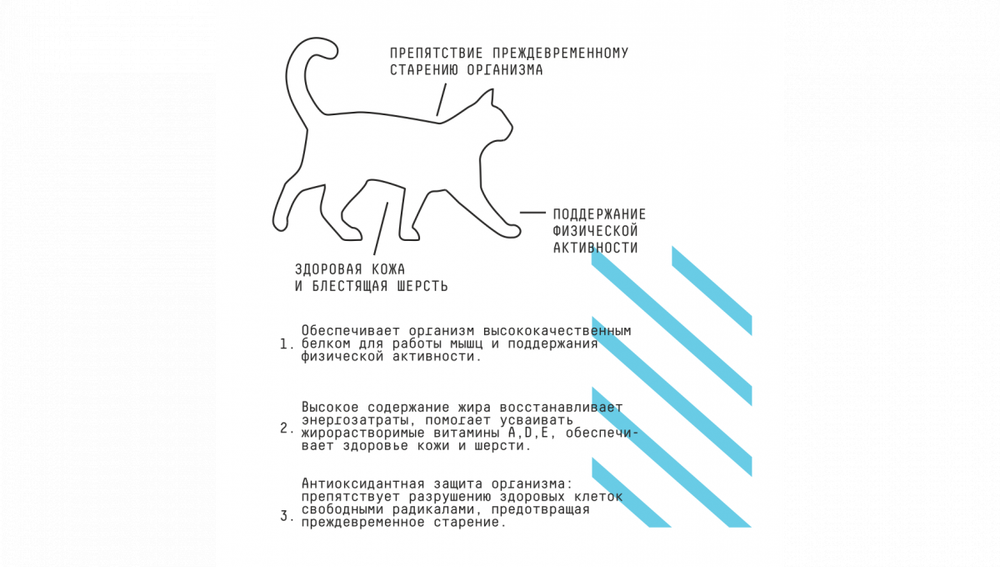 AjO Cat Active Сухой низкозерновой корм для взрослых кошек с индейкой, 400 гр