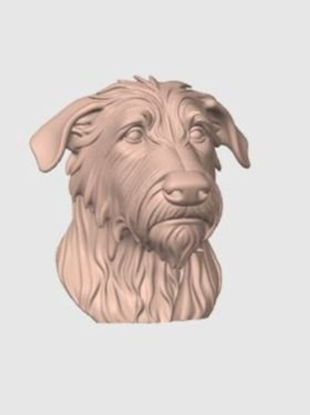 Ирландский волкодав