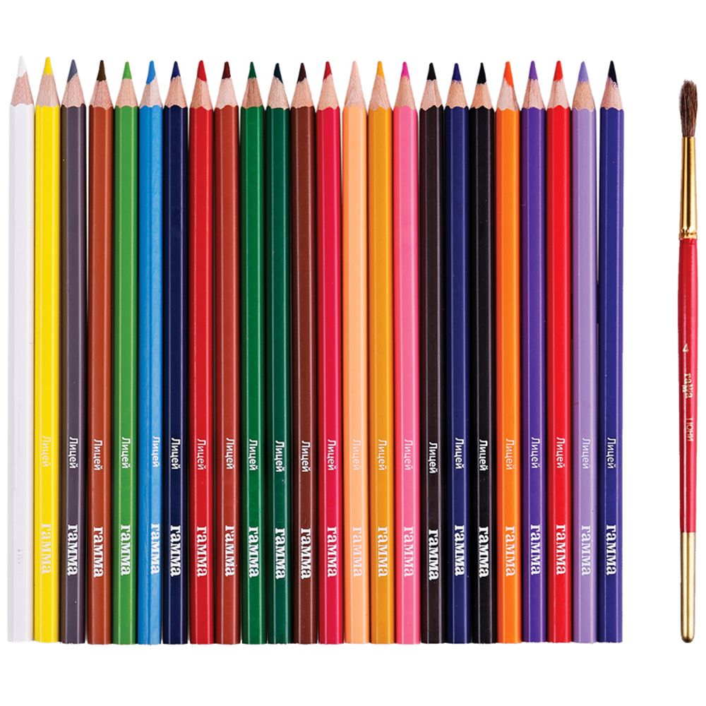 Карандаши акварельные 24 цв. Гамма Лицей + кисть