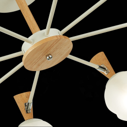 Светильник потолочный Evoluce Catania SLE220702-08