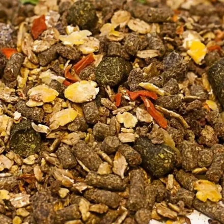 Спорт Луговые травы