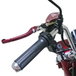 Электроскутер Citycoco GT E30 красный