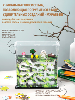 Муравьиная ферма "Мох" с муравьями в подарок
