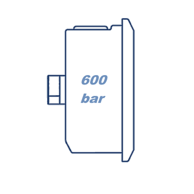 Манометр глицериновый D63 G1/4 - 600 Bar - осевое подключение VERSO