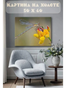 Картина на стену 40 X 50 Стрекоза
