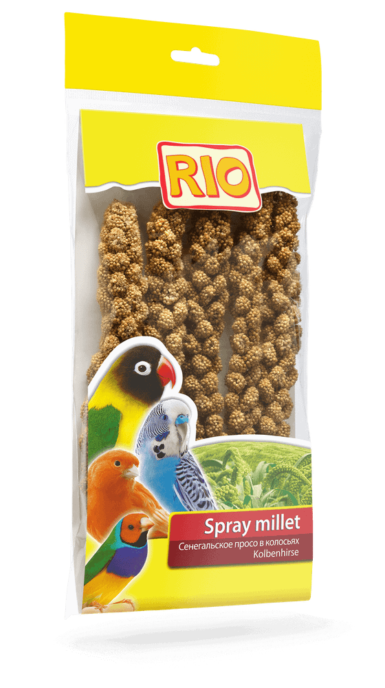 *RIO. Сенегальское просо в колосьях 100г (УЦЕНКА) *RIO. Сенегальское просо в колосьях 100г (УЦЕНКА)