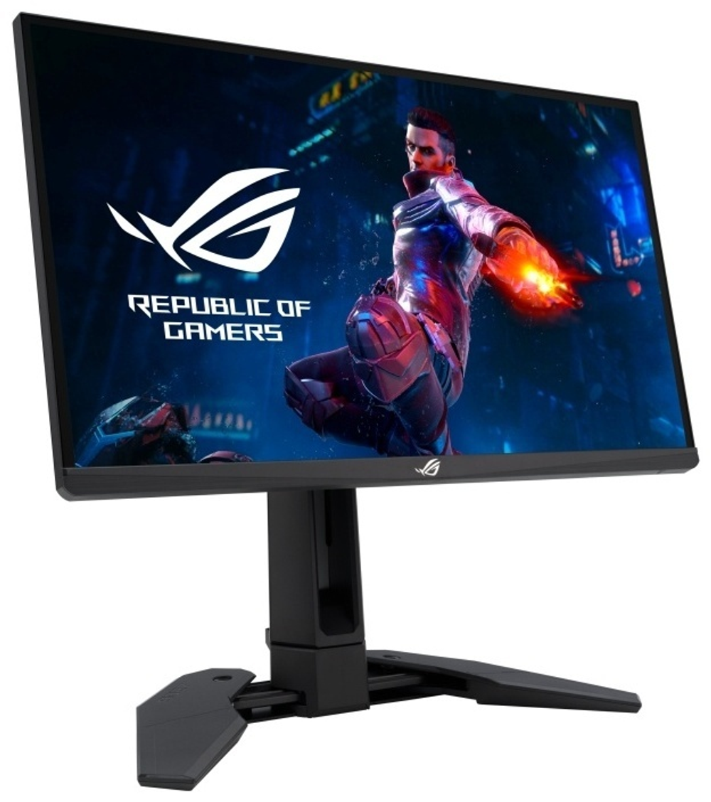 Монитор ASUS ROG Swift Pro PG248QP черный