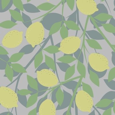 ЛИМОНЫ НА ВЕТВЯХ НА СЕРОМ ФОНЕ