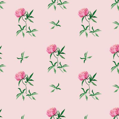 Розовые розы