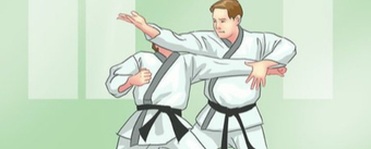 ТЕХНИКА ТХЭКВОНДО