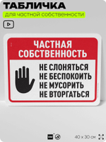 Табличка для частной территории "Частная собственность", на дом, для участка, организаций, предупреждающая, 40х30 см, Silver Plane x Айдентика Технолоджи
