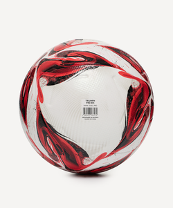 Мяч футбольный Triumph Pro №5
