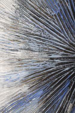 Картина 100х50см Tomas Stern 85046