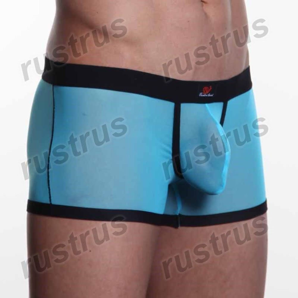 Мужские трусы хипсы голубые WANGJIANG WG00109