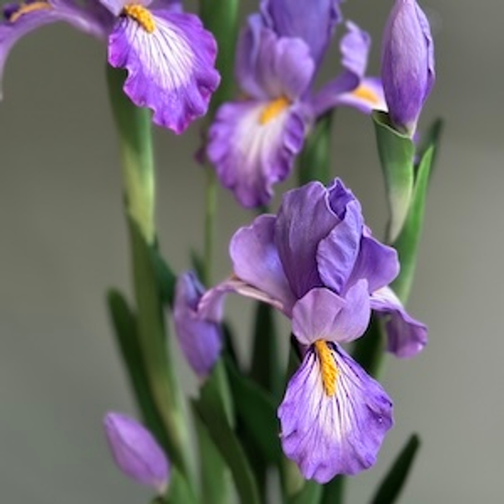 Вайнер для лепестка Гибискуса ClayCraft by DECO™