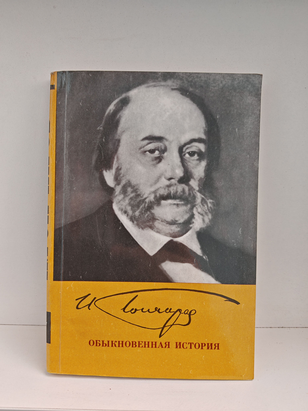 Обыкновенная история: Роман в двух частях