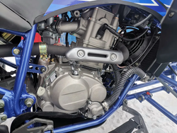 Квадроцикл PROMAX RAPTOR 300 NEW